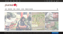 Desktop Screenshot of picaronablog.com